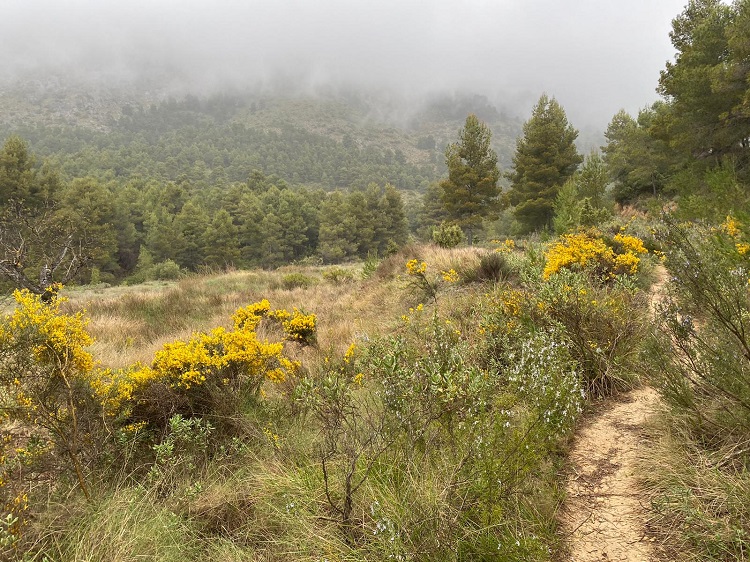 Fotos de la ruta